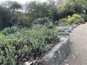ダニーデン植物園