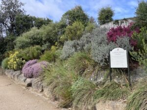 ダニーデン植物園