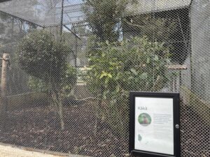 ダニーデン植物園