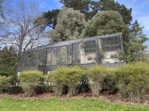 ダニーデン植物園