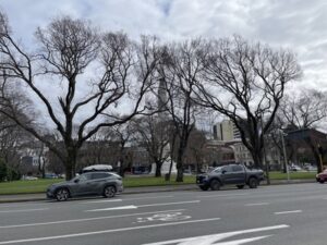 Queens Garden