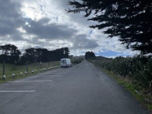 サンドフライ・ベイ野生動物保護区