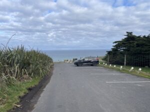 サンドフライ・ベイ野生動物保護区