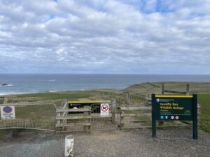 サンドフライ・ベイ野生動物保護区