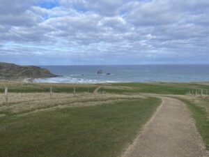 サンドフライ・ベイ野生動物保護区