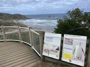 サンドフライ・ベイ野生動物保護区