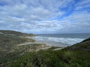 サンドフライ・ベイ野生動物保護区