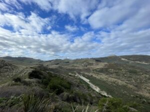 サンドフライ・ベイ野生動物保護区