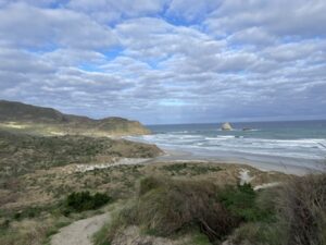 サンドフライ・ベイ野生動物保護区