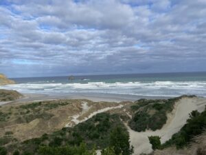 サンドフライ・ベイ野生動物保護区