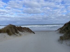 サンドフライ・ベイ野生動物保護区