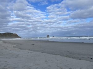 サンドフライ・ベイ野生動物保護区