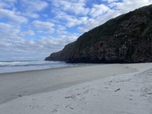 サンドフライ・ベイ野生動物保護区