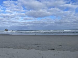 サンドフライ・ベイ野生動物保護区