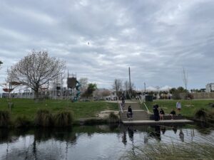 The Margaret Mahy Family Playground