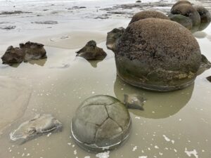 モエラキ・ボルダー