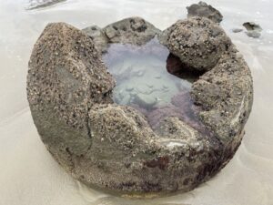 モエラキ・ボルダー