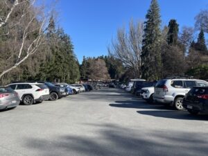 クイーンズタウンガーデン