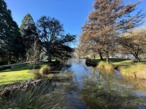 クイーンズタウンガーデン