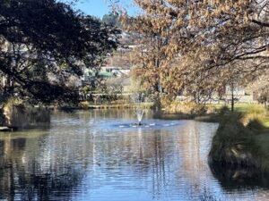 クイーンズタウンガーデン