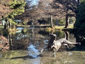 クイーンズタウンガーデン