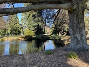 クイーンズタウンガーデン