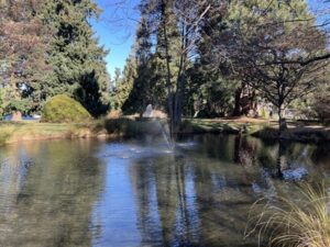 クイーンズタウンガーデン