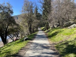 クイーンズタウンガーデン