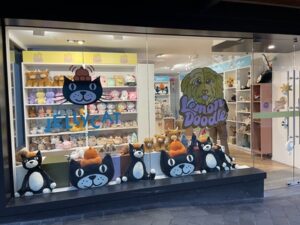 クイーンズタウンの街