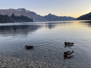 クイーンズタウンの街