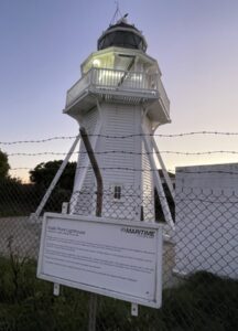 イエロー・アイド・ペンギン・コロニー