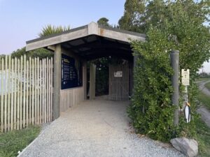 イエロー・アイド・ペンギン・コロニー