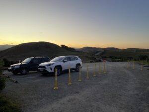 イエロー・アイド・ペンギン・コロニー