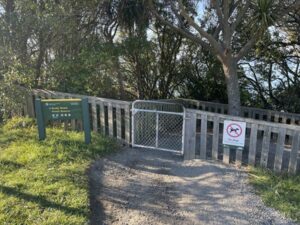 イエロー・アイド・ペンギン・コロニー