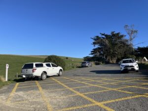 イエロー・アイド・ペンギン・コロニー