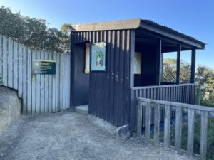 イエロー・アイド・ペンギン・コロニー