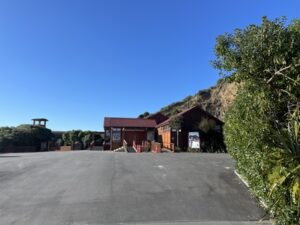 ブルー・ペンギン・コロニー