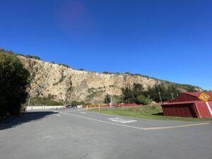 ブルー・ペンギン・コロニー