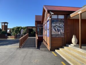 ブルー・ペンギン・コロニー