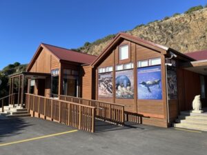 ブルー・ペンギン・コロニー