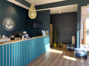 ブルー・ペンギン・コロニー