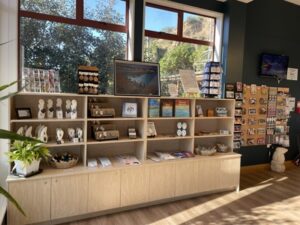 ブルー・ペンギン・コロニー