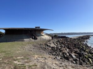 ブルー・ペンギン・コロニー