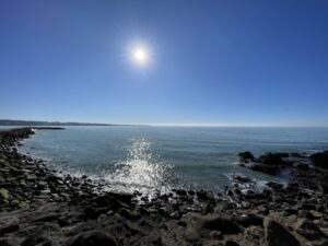 ブルー・ペンギン・コロニー