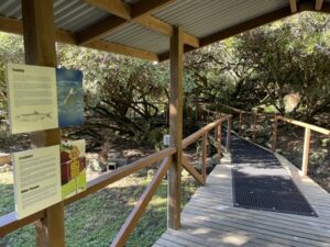 ブルー・ペンギン・コロニー