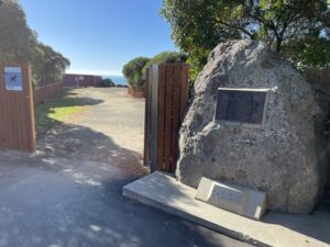 ブルー・ペンギン・コロニー