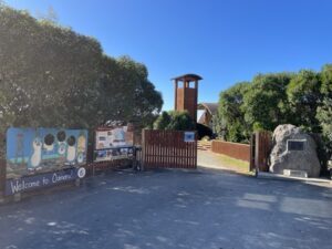 ブルー・ペンギン・コロニー