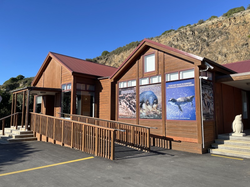 ブルー・ペンギン・コロニー