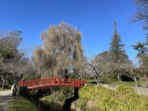 オアマル・パブリック・ガーデン