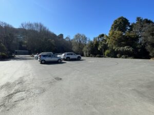 エレファント・ロック